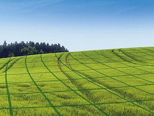 Weizenfeld mit grünen viereckigen Rastern