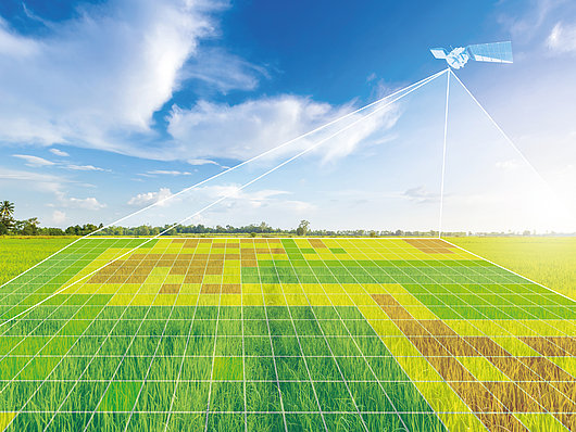 Satellitendaten von einem Feld Satellitendaten eines Feldes.