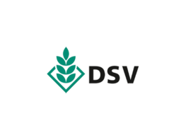 Logo DSV Logo DSV